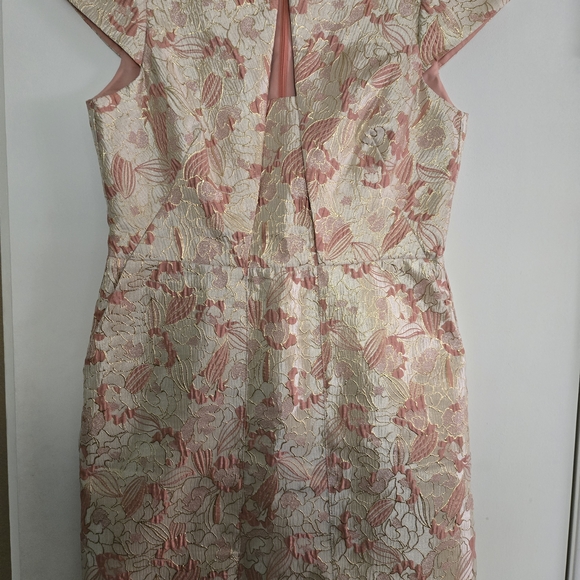 Vince Camuto Dresses & Skirts - Vince Camuto Pink and Cream Backless Dress